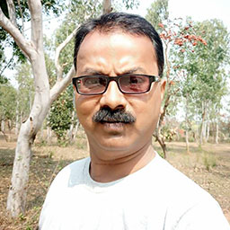 Sanjib Mitra